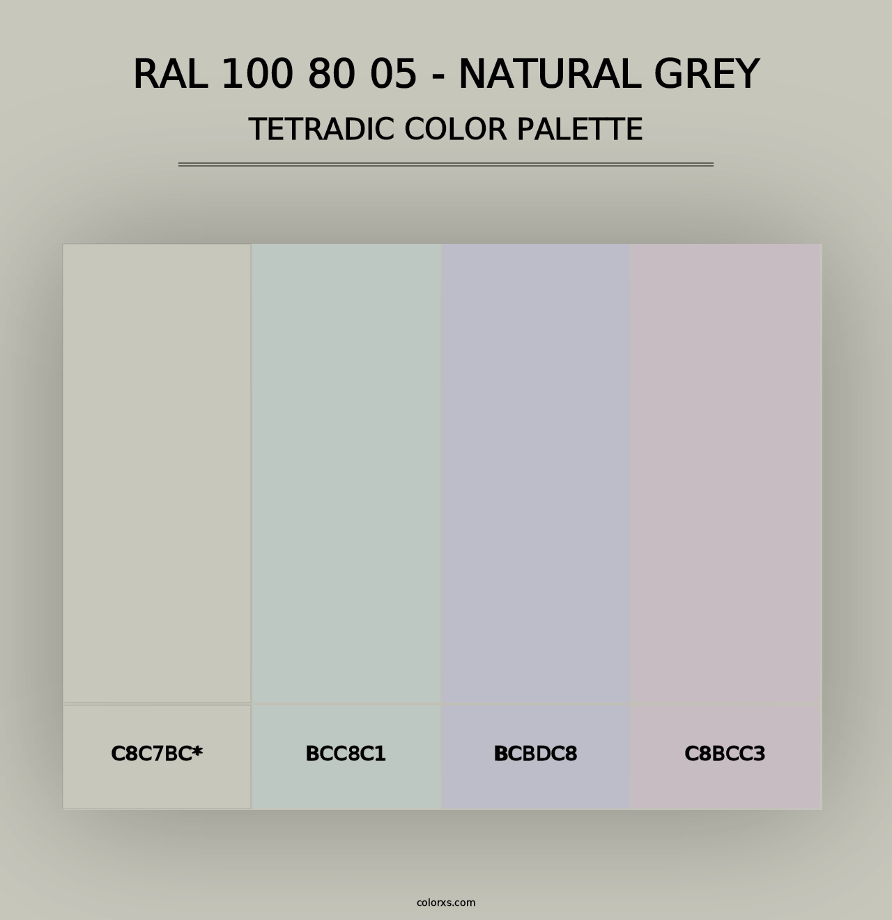 RAL 100 80 05 - Natural Grey - Tetradic Color Palette