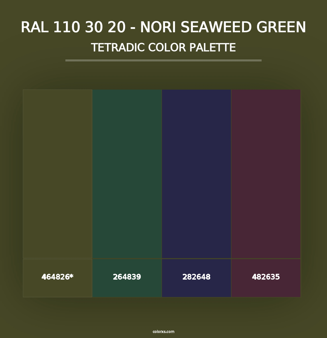 RAL 110 30 20 - Nori Seaweed Green - Tetradic Color Palette