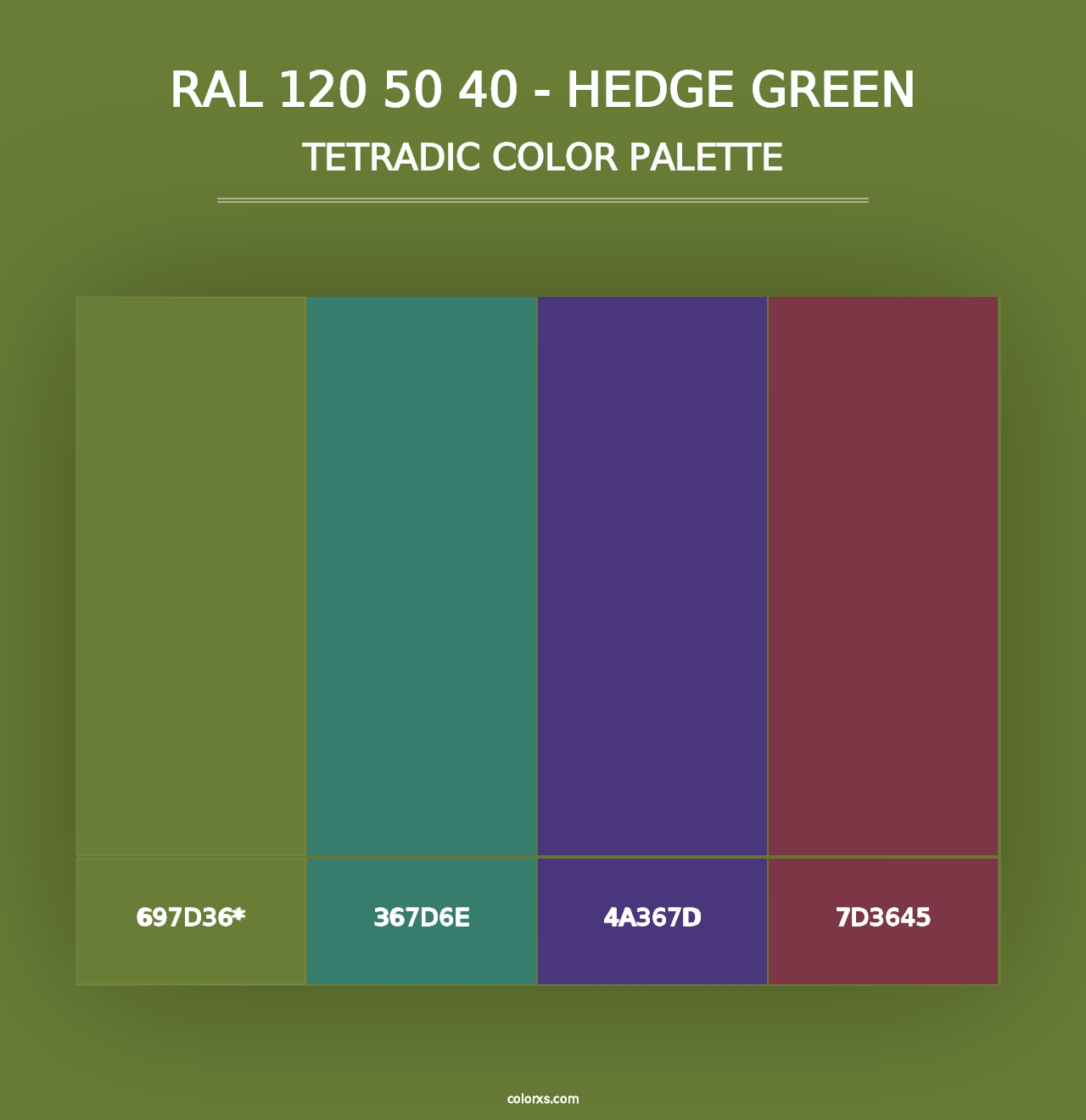 RAL 120 50 40 - Hedge Green - Tetradic Color Palette