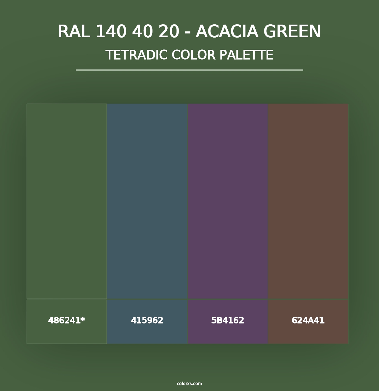 RAL 140 40 20 - Acacia Green - Tetradic Color Palette