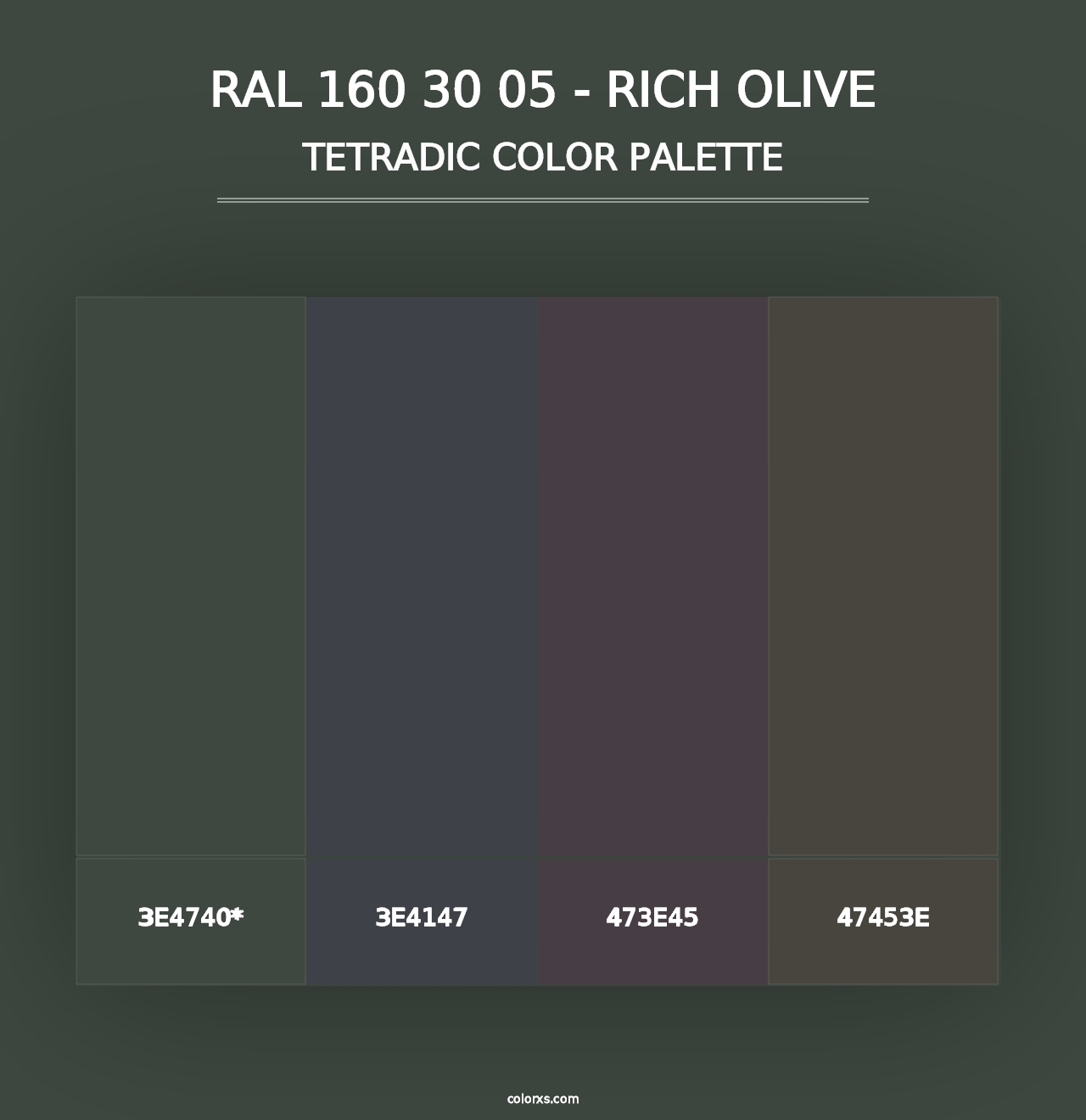 RAL 160 30 05 - Rich Olive - Tetradic Color Palette