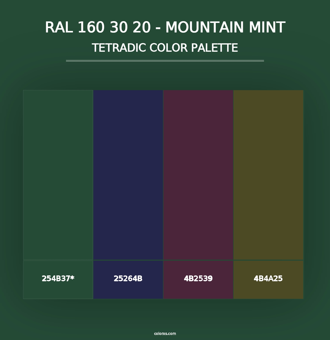 RAL 160 30 20 - Mountain Mint - Tetradic Color Palette