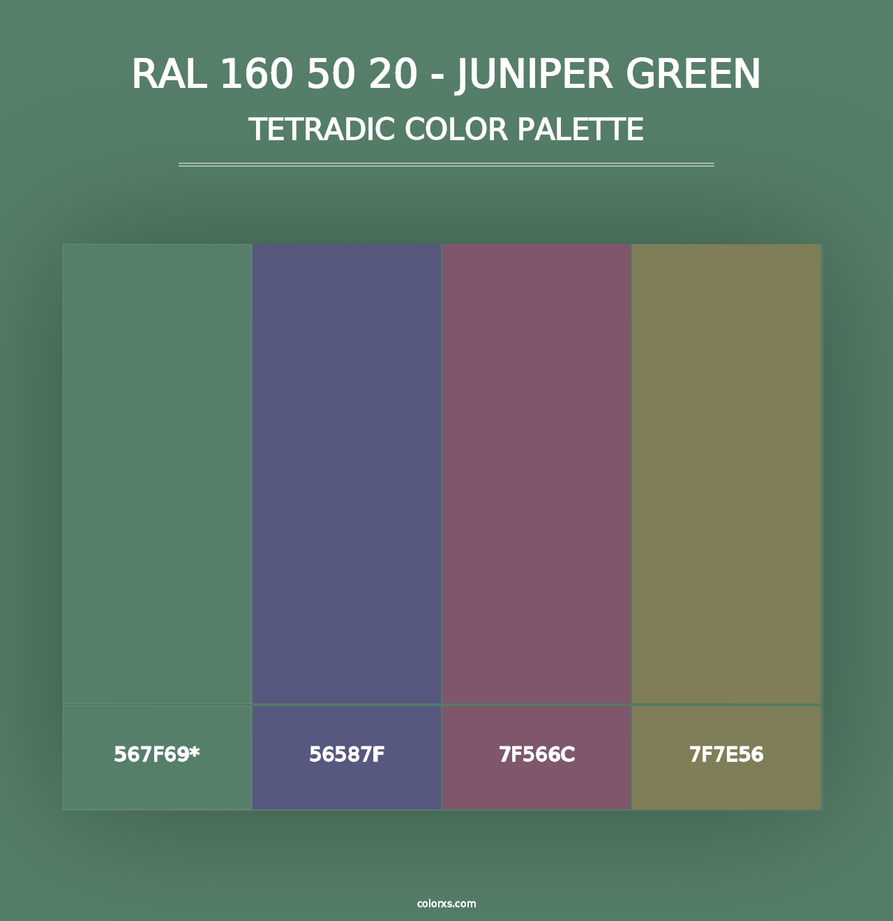 RAL 160 50 20 - Juniper Green - Tetradic Color Palette