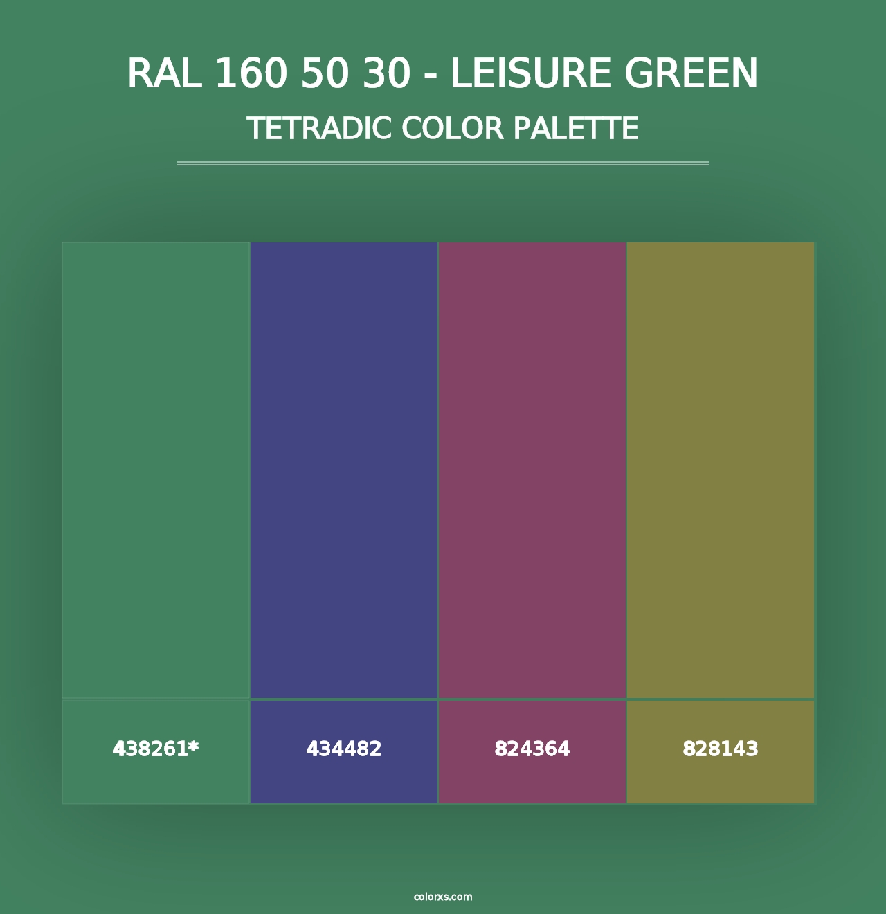 RAL 160 50 30 - Leisure Green - Tetradic Color Palette