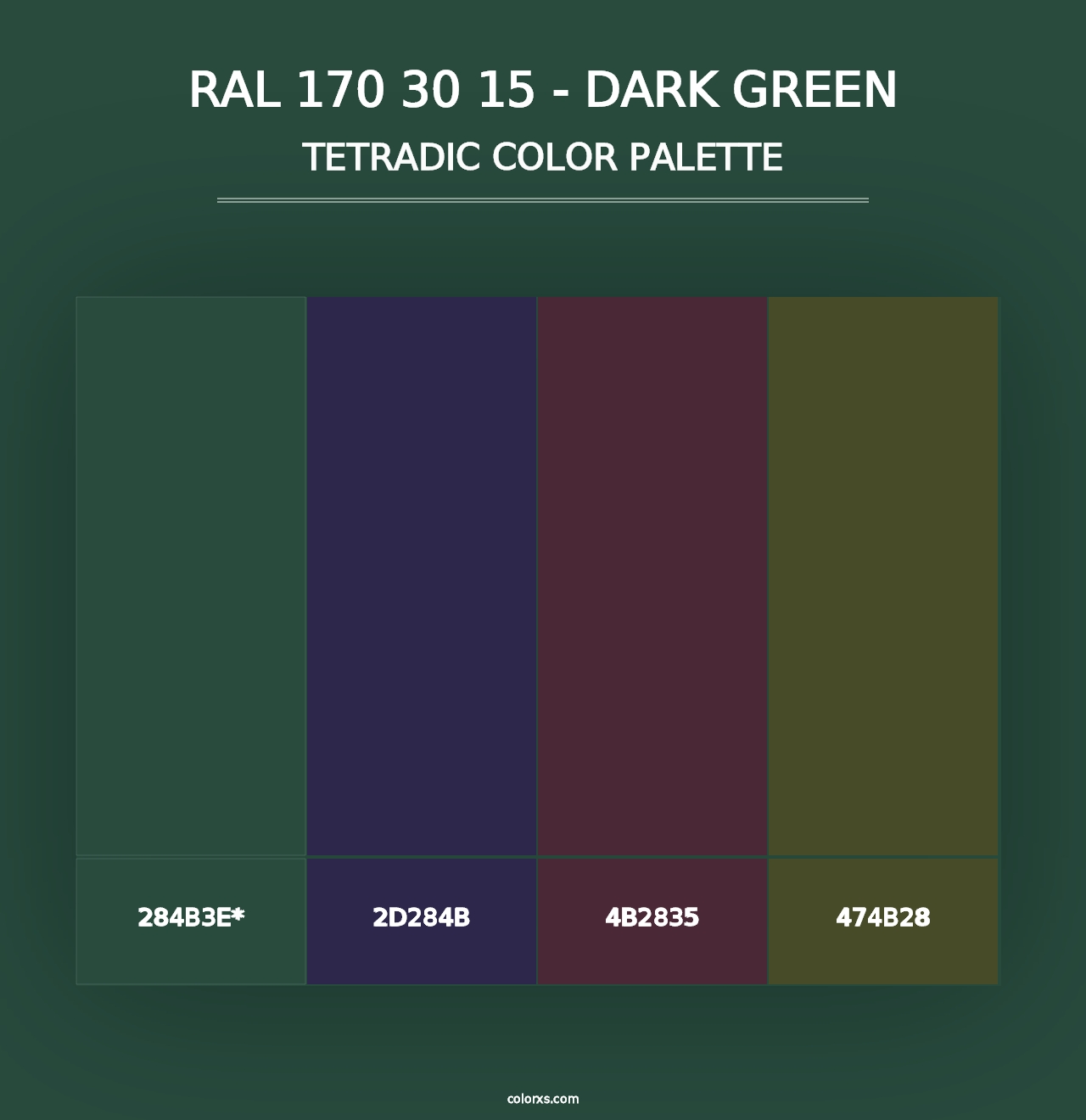 RAL 170 30 15 - Dark Green - Tetradic Color Palette