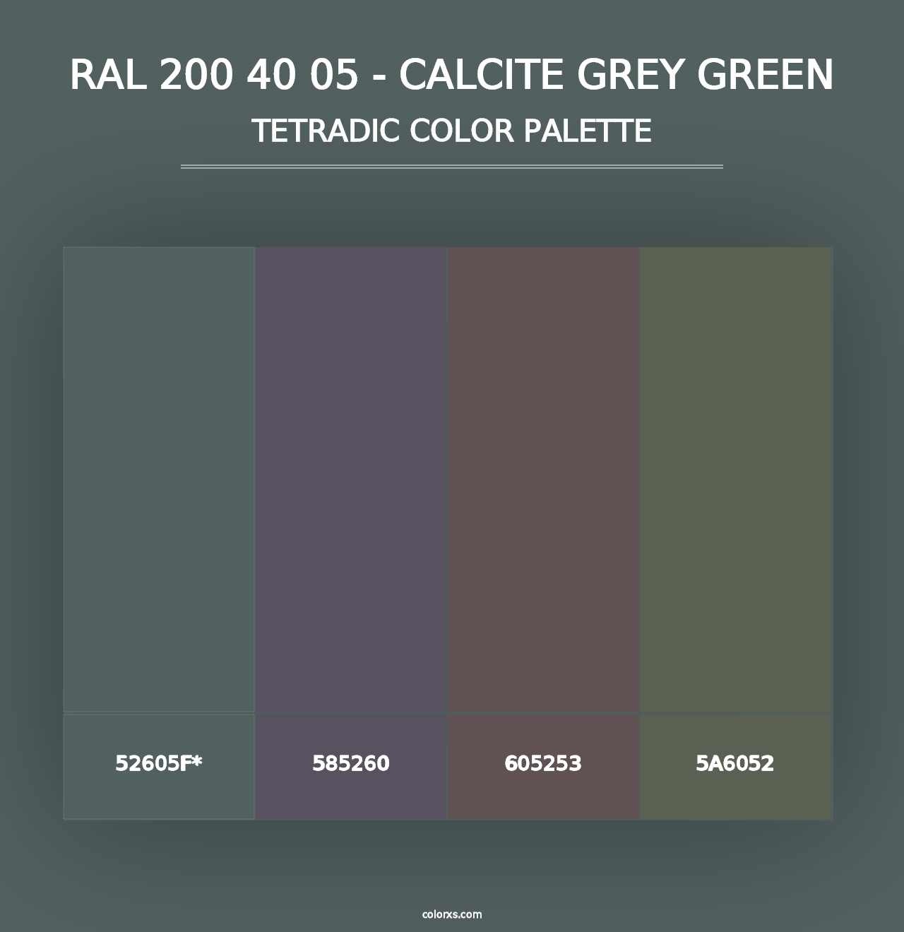 RAL 200 40 05 - Calcite Grey Green - Tetradic Color Palette