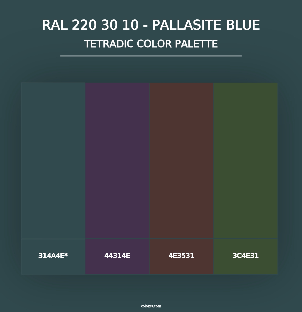 RAL 220 30 10 - Pallasite Blue - Tetradic Color Palette