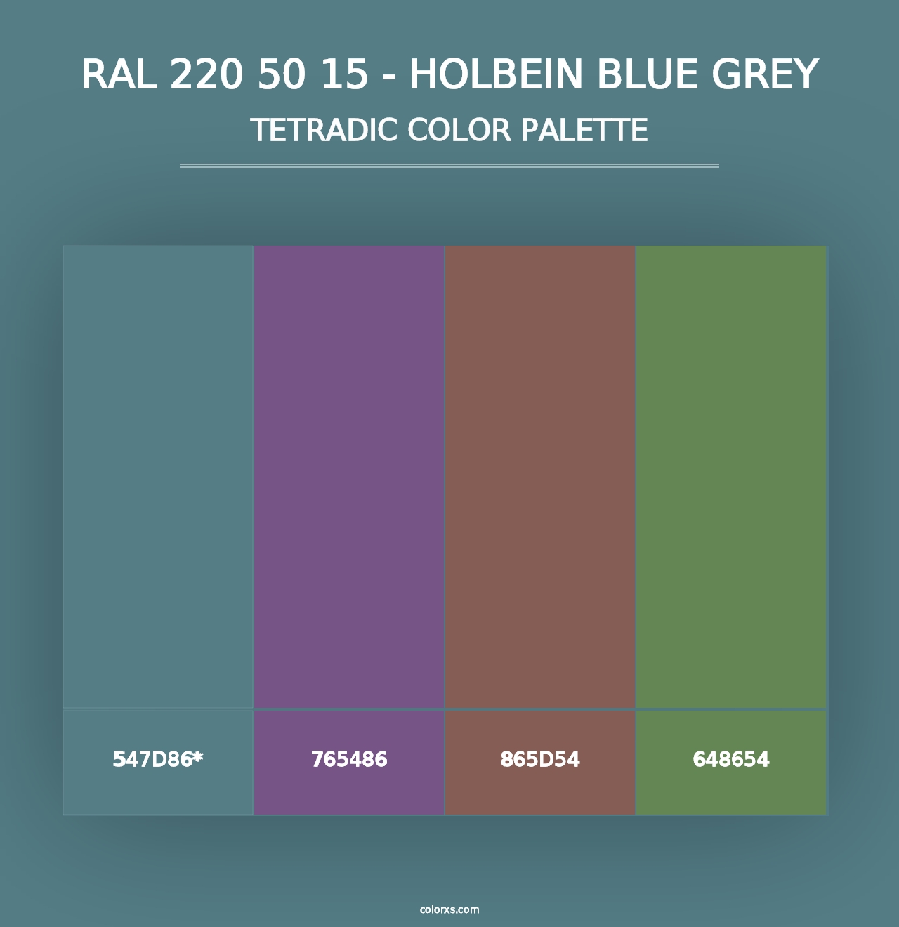 RAL 220 50 15 - Holbein Blue Grey - Tetradic Color Palette