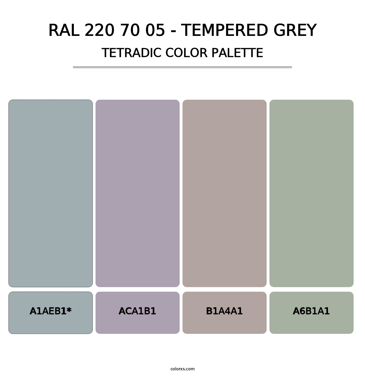 RAL 220 70 05 - Tempered Grey - Tetradic Color Palette