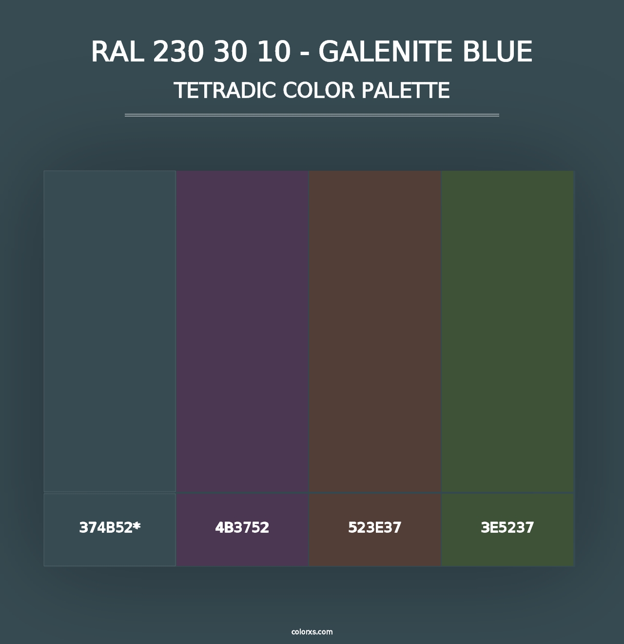 RAL 230 30 10 - Galenite Blue - Tetradic Color Palette