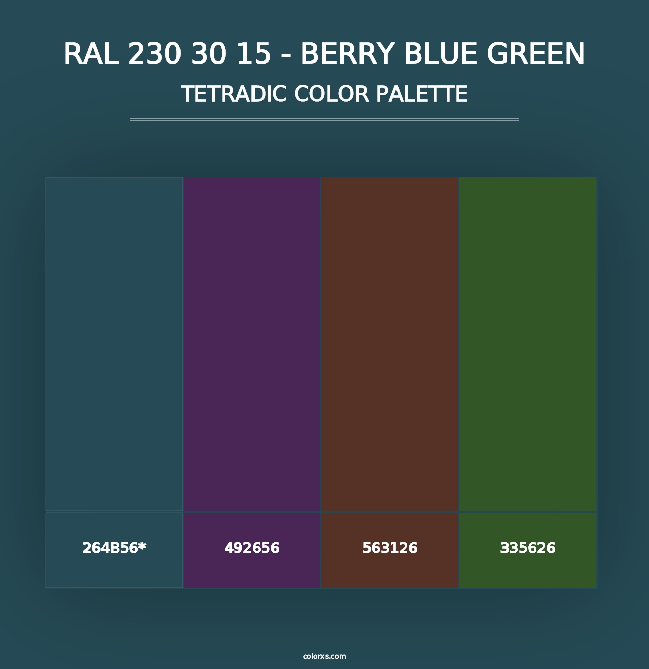 RAL 230 30 15 - Berry Blue Green - Tetradic Color Palette