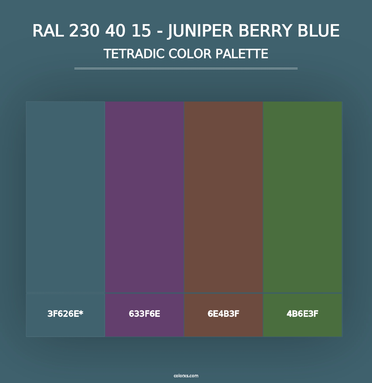 RAL 230 40 15 - Juniper Berry Blue - Tetradic Color Palette