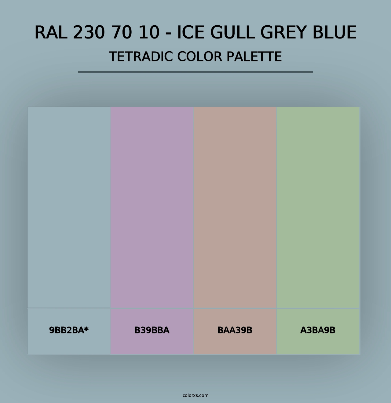 RAL 230 70 10 - Ice Gull Grey Blue - Tetradic Color Palette