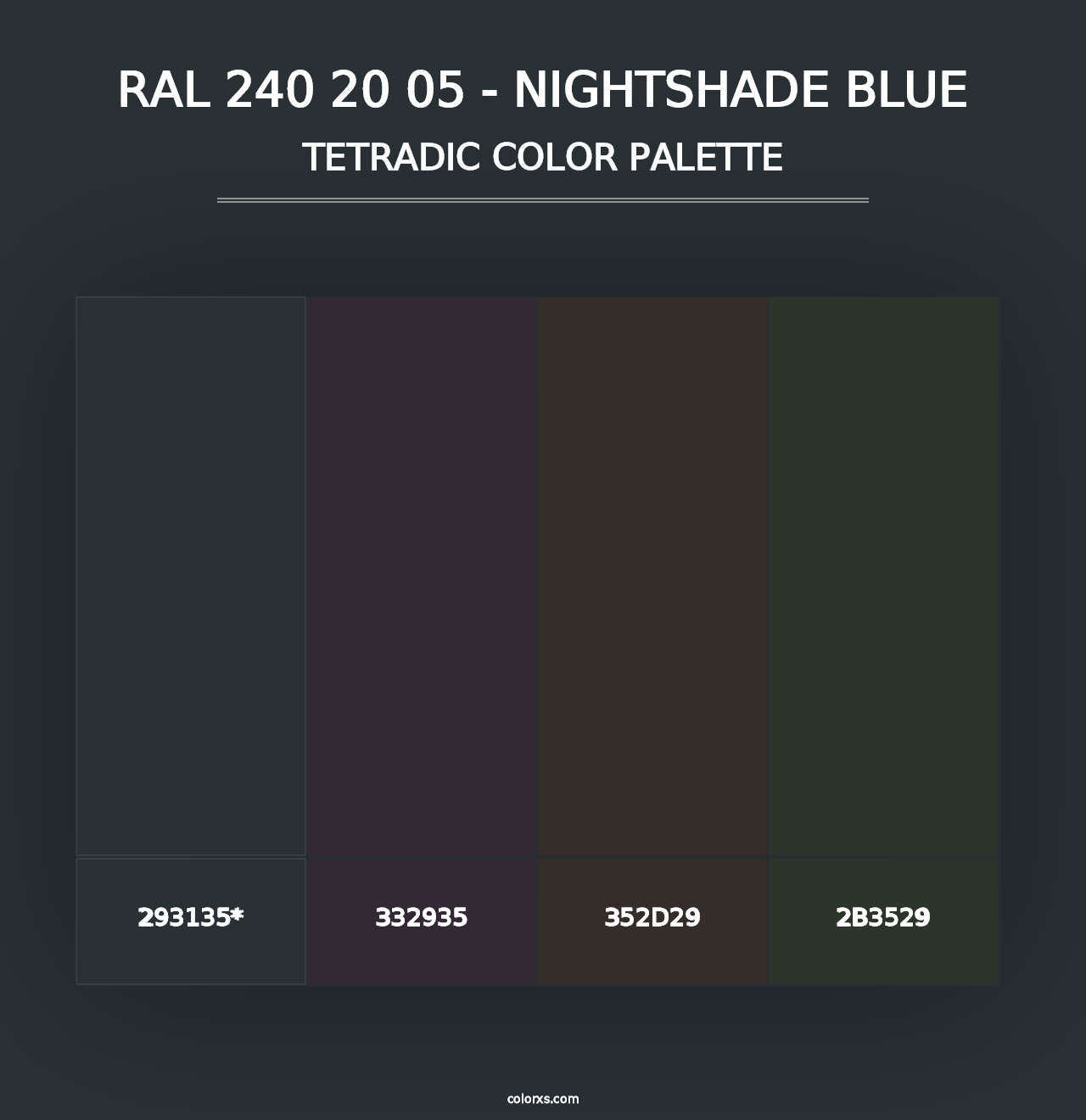 RAL 240 20 05 - Nightshade Blue - Tetradic Color Palette