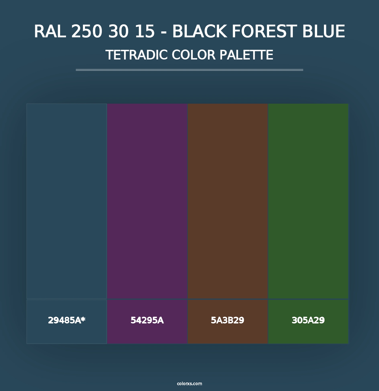 RAL 250 30 15 - Black Forest Blue - Tetradic Color Palette