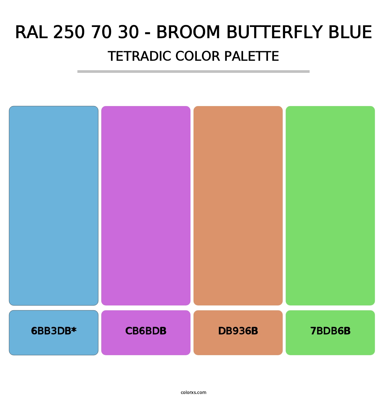 RAL 250 70 30 - Broom Butterfly Blue - Tetradic Color Palette