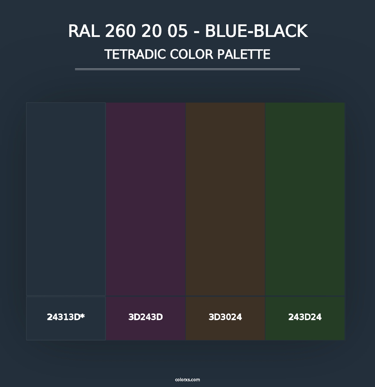 RAL 260 20 05 - Blue-Black - Tetradic Color Palette