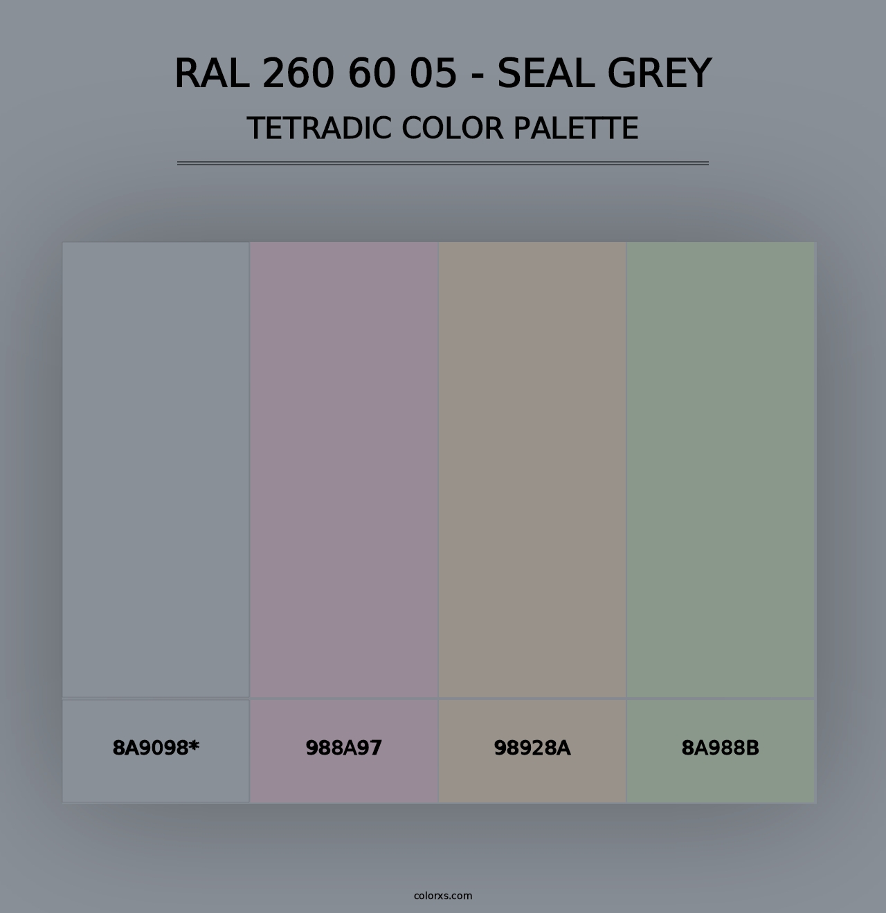 RAL 260 60 05 - Seal Grey - Tetradic Color Palette