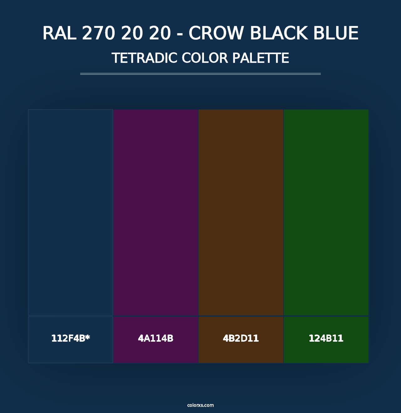 RAL 270 20 20 - Crow Black Blue - Tetradic Color Palette