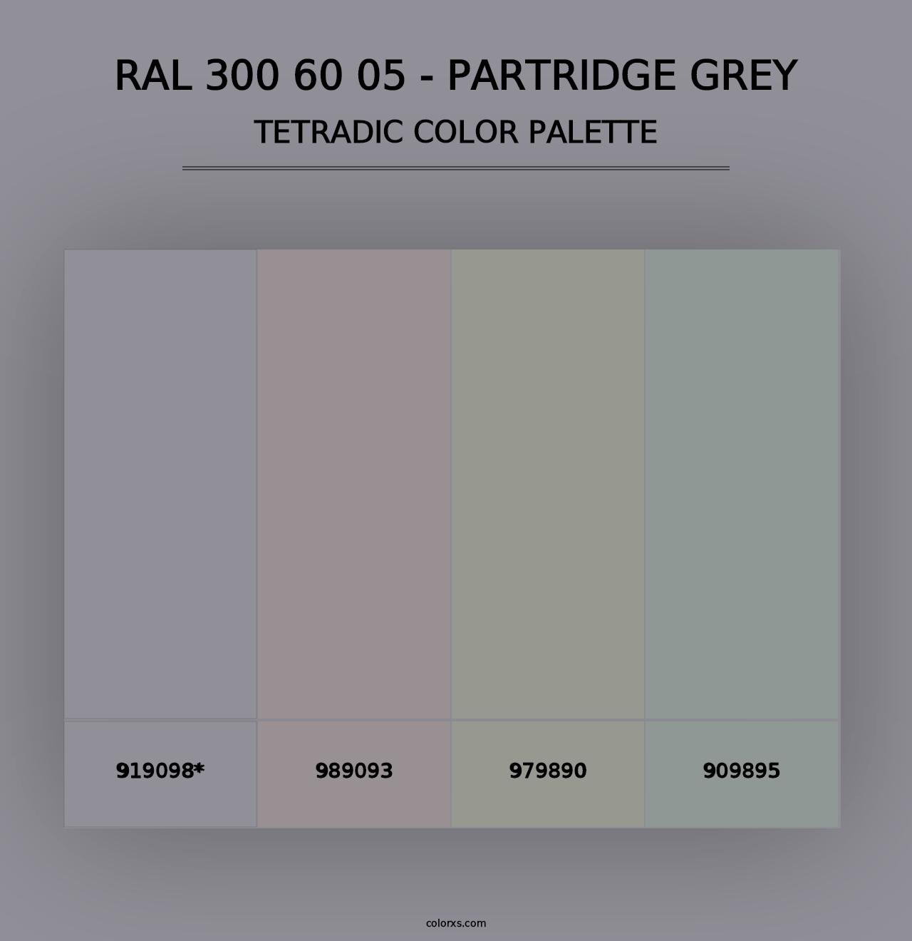 RAL 300 60 05 - Partridge Grey - Tetradic Color Palette