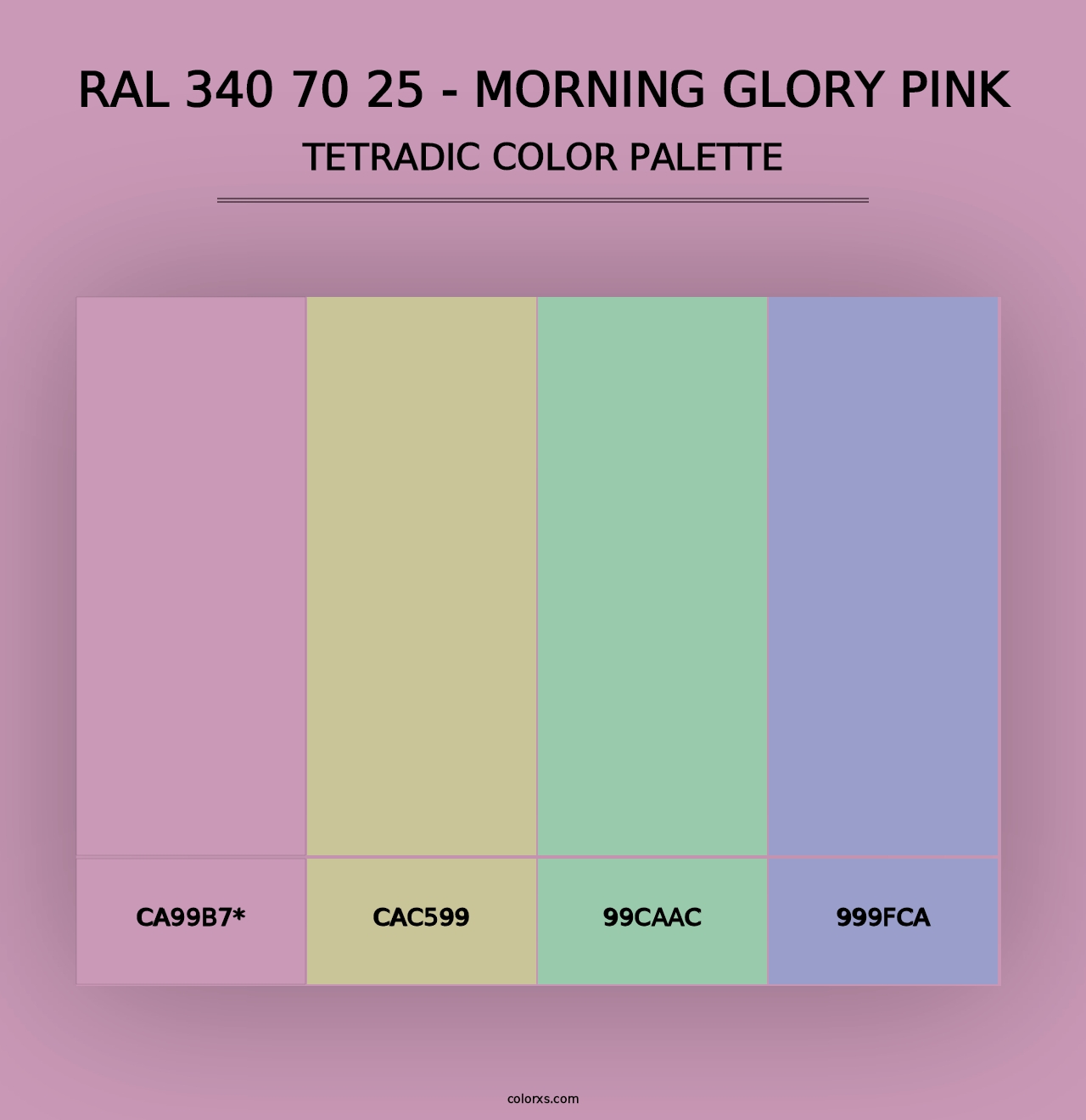 RAL 340 70 25 - Morning Glory Pink - Tetradic Color Palette