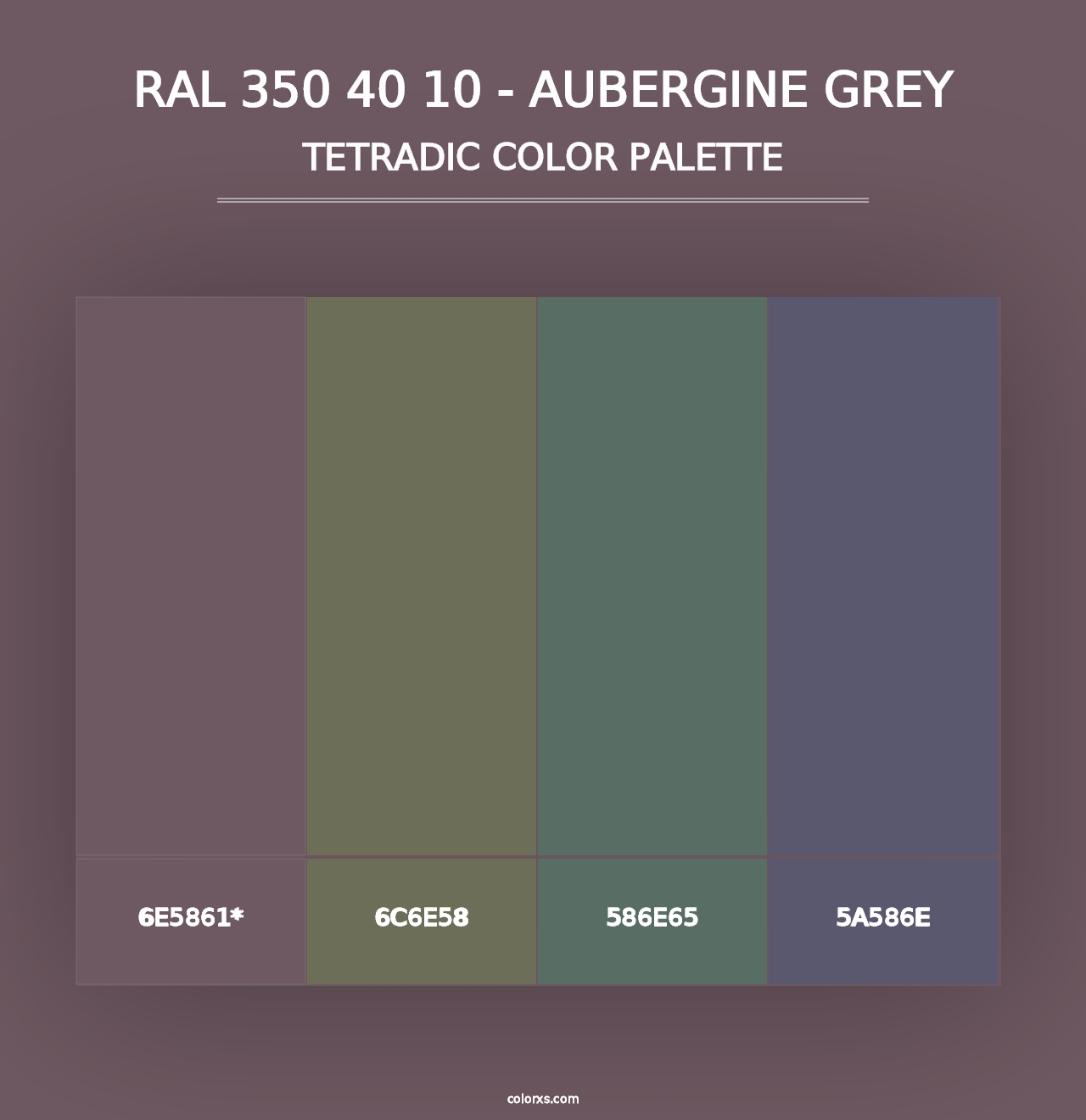 RAL 350 40 10 - Aubergine Grey - Tetradic Color Palette