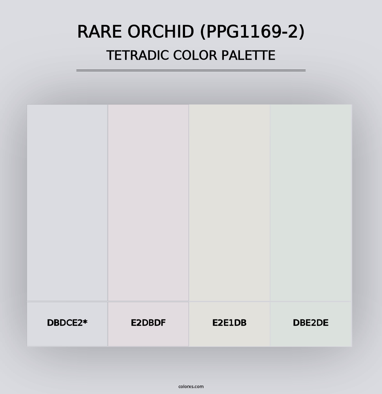 Rare Orchid (PPG1169-2) - Tetradic Color Palette