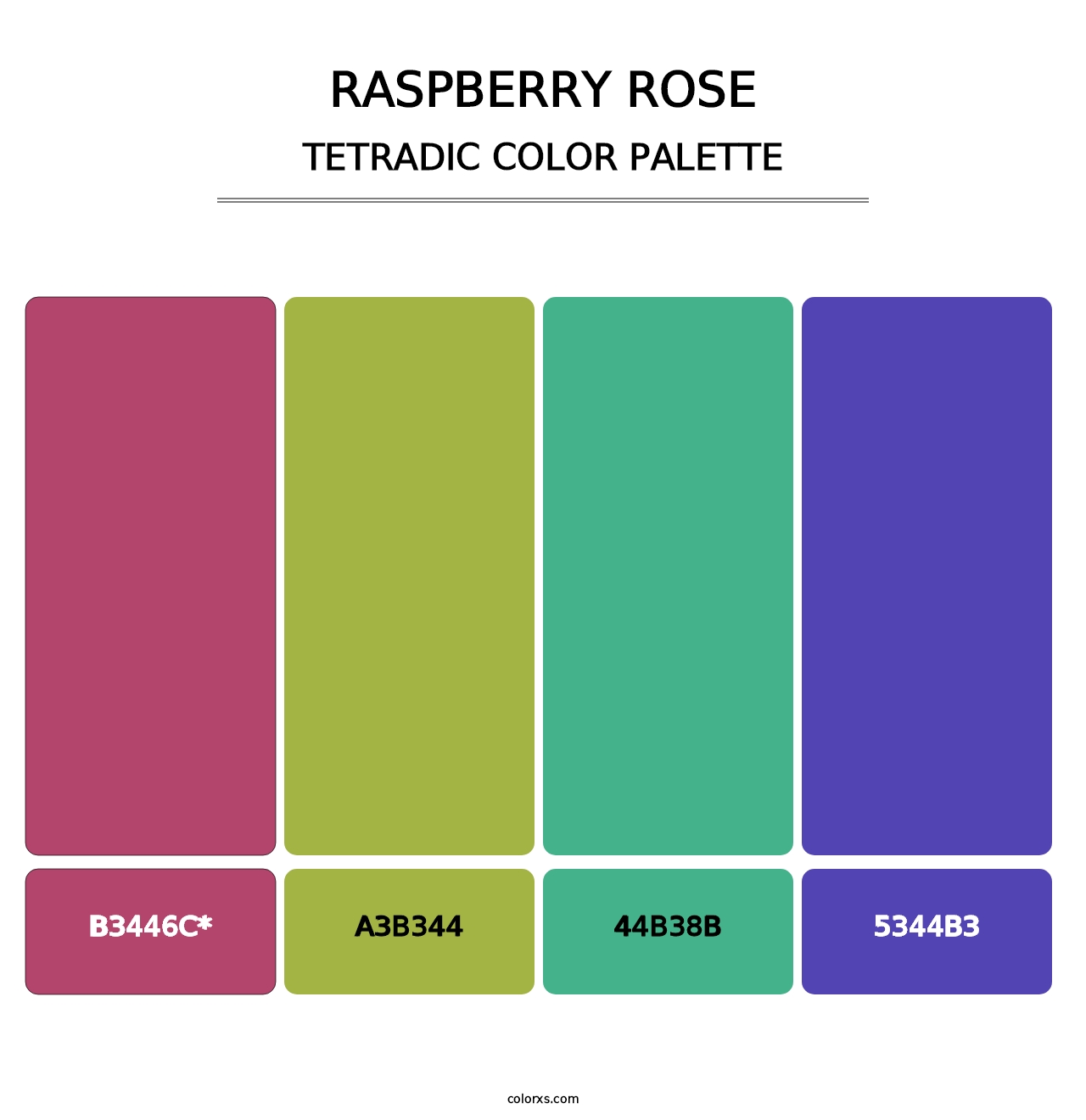 Raspberry Rose - Tetradic Color Palette