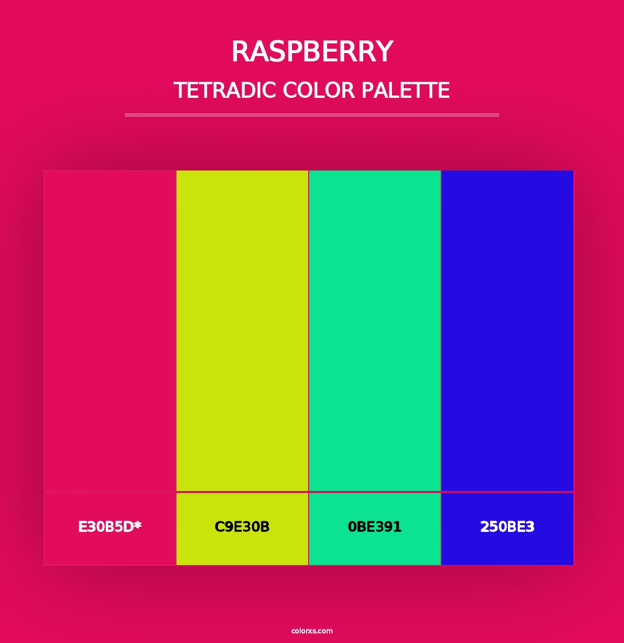 Raspberry - Tetradic Color Palette