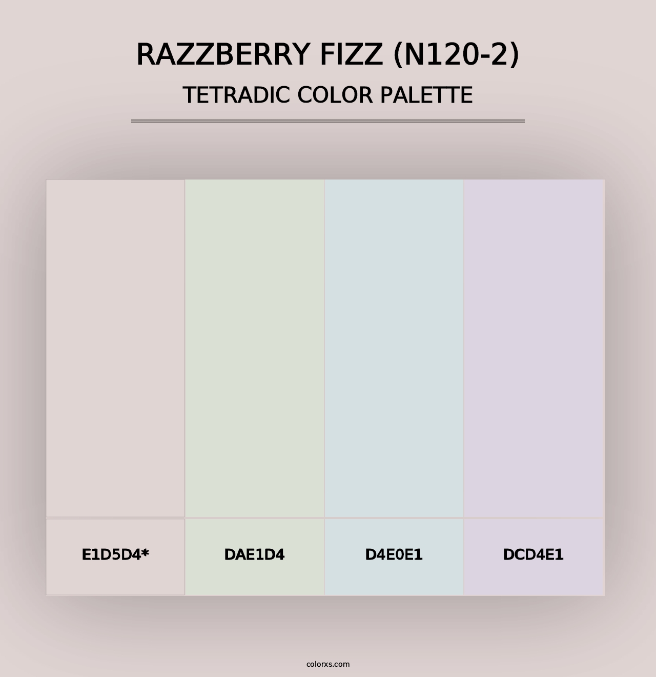 Razzberry Fizz (N120-2) - Tetradic Color Palette