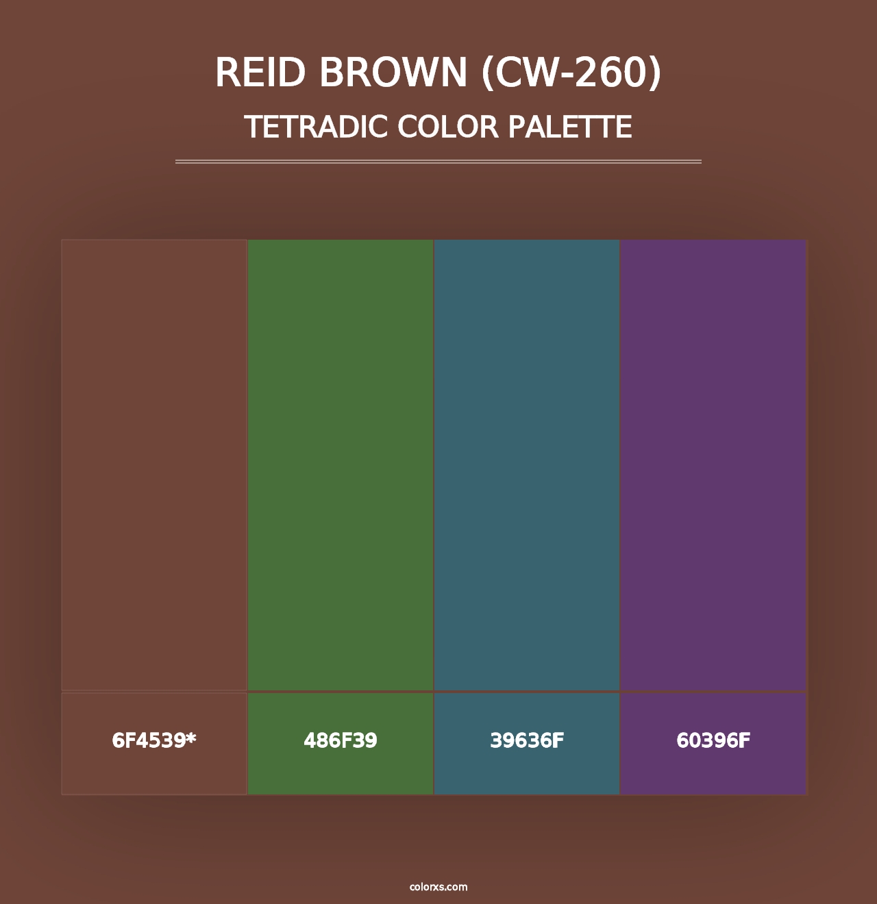 Reid Brown (CW-260) - Tetradic Color Palette