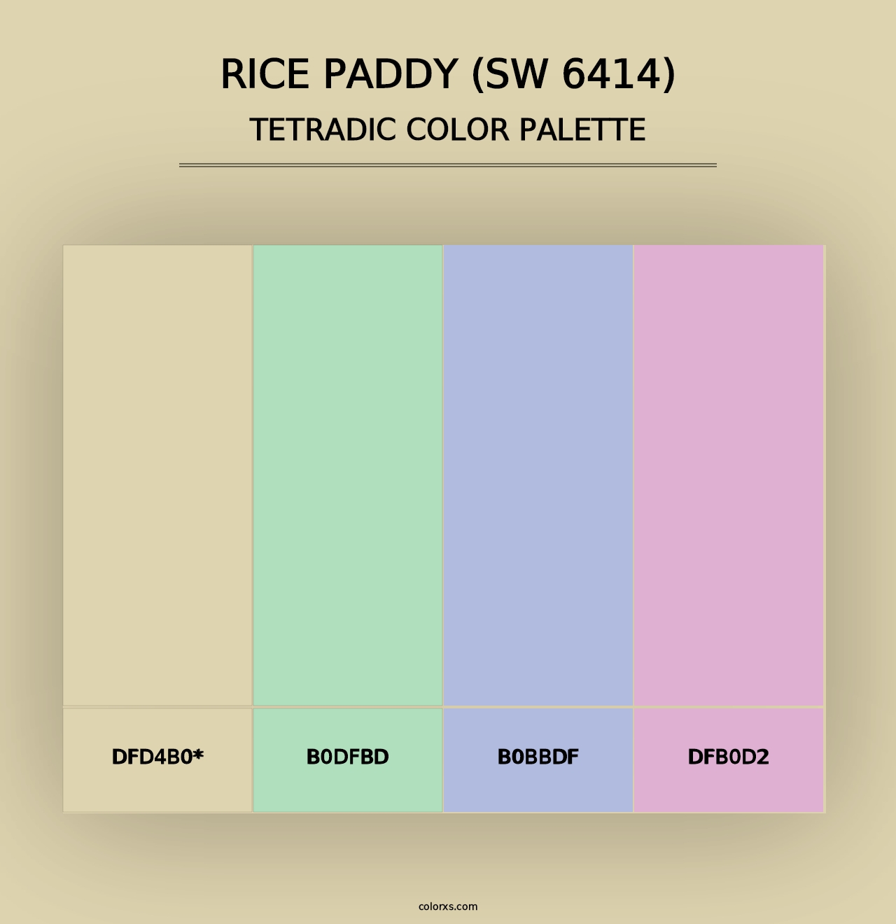 Rice Paddy (SW 6414) - Tetradic Color Palette