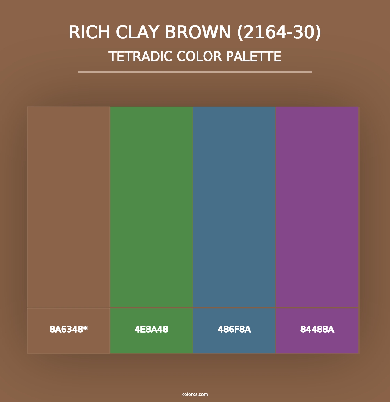 Rich Clay Brown (2164-30) - Tetradic Color Palette