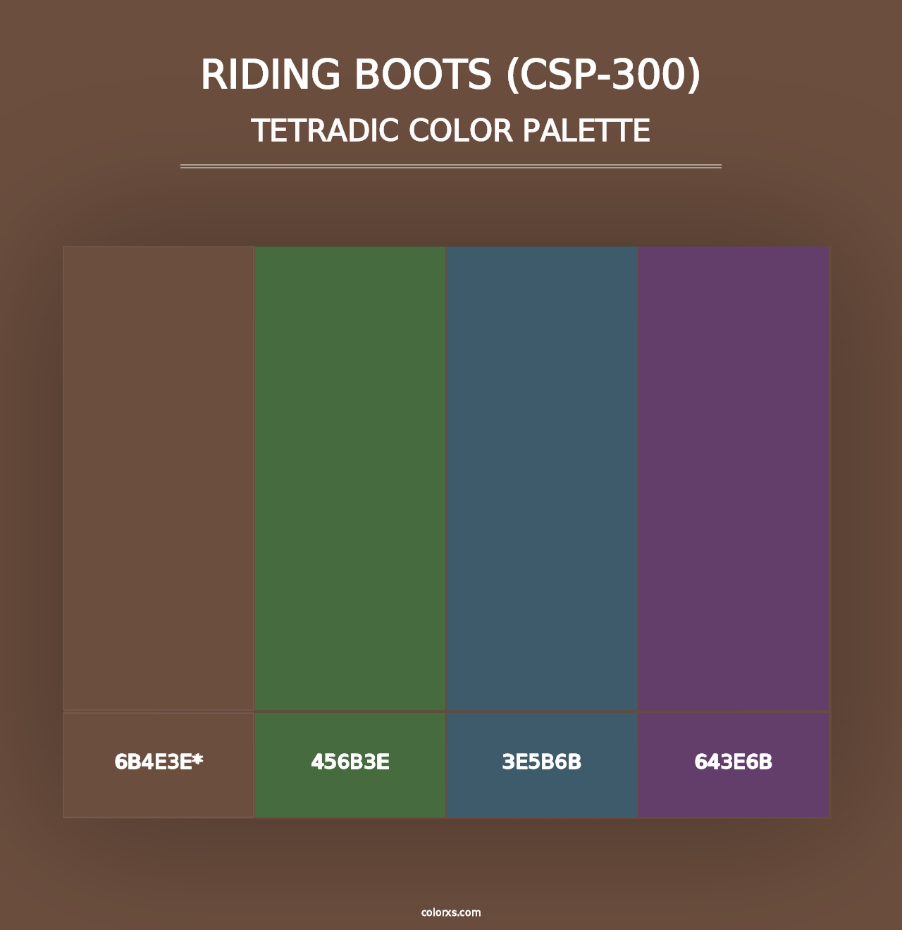 Riding Boots (CSP-300) - Tetradic Color Palette