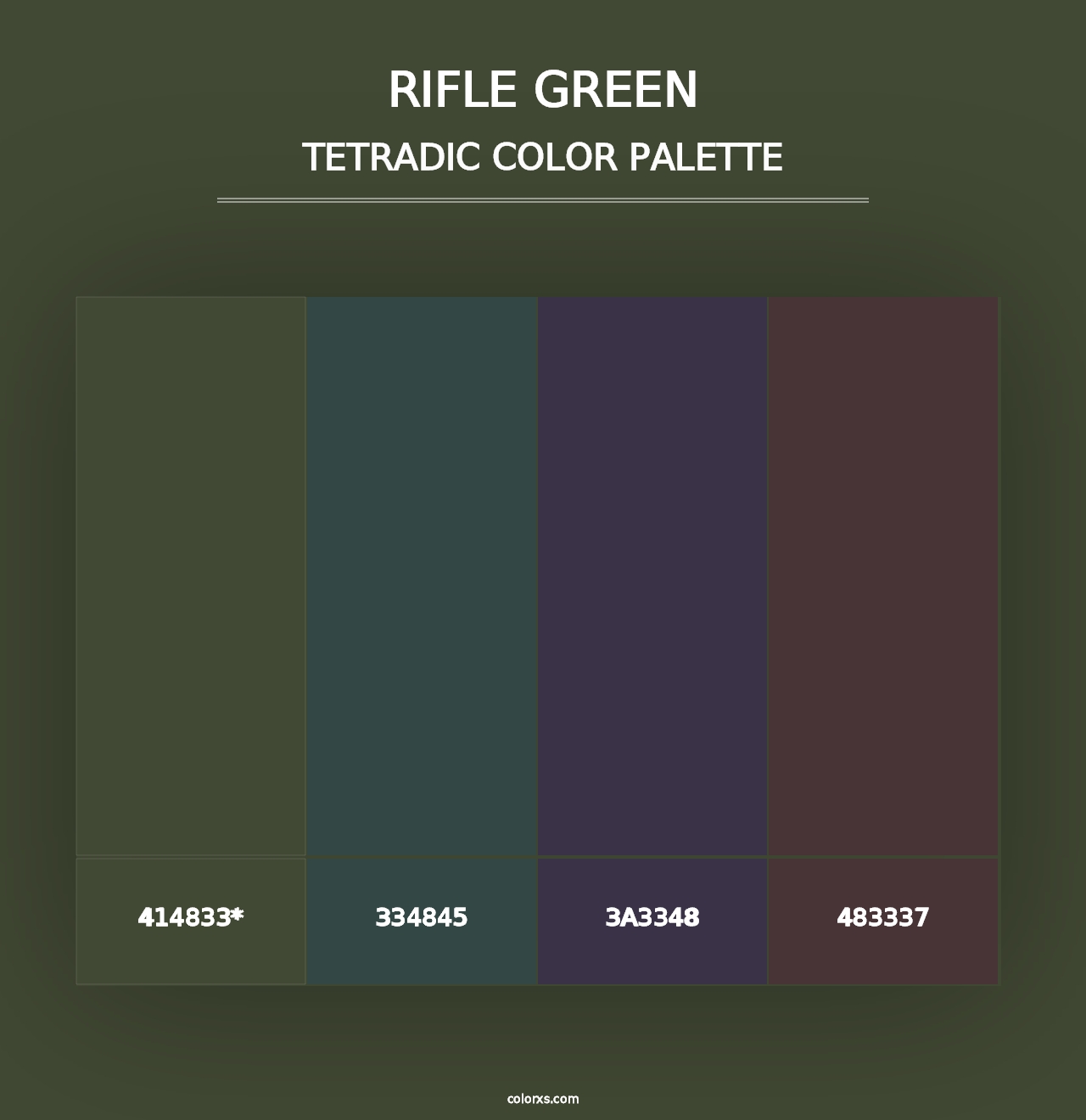 Rifle Green - Tetradic Color Palette