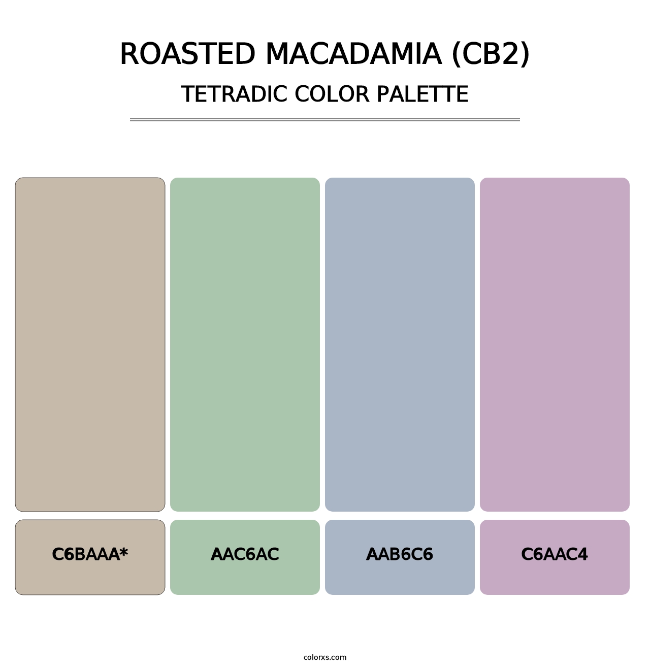 Roasted Macadamia (CB2) - Tetradic Color Palette