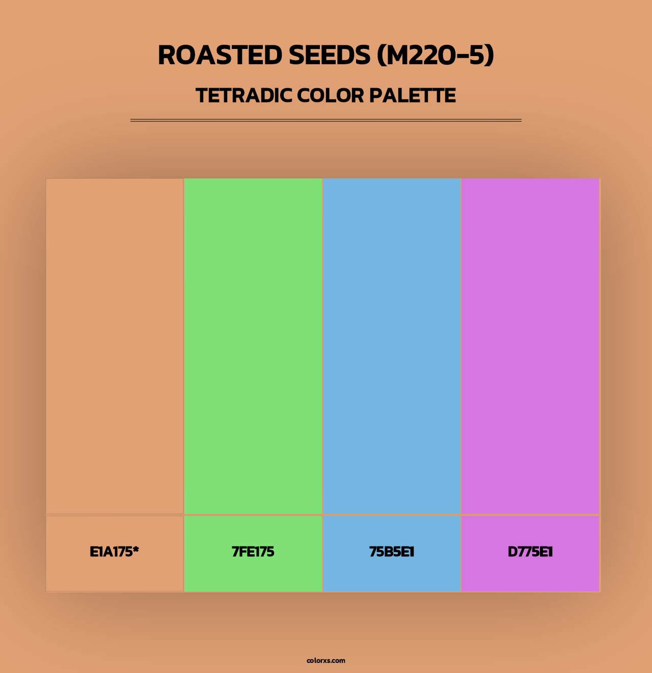 Roasted Seeds (M220-5) - Tetradic Color Palette