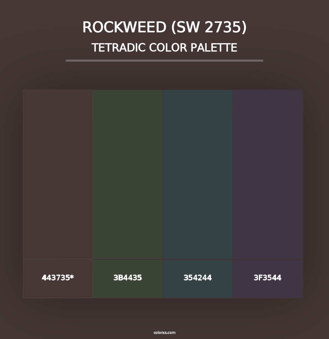 Rockweed (SW 2735) - Tetradic Color Palette