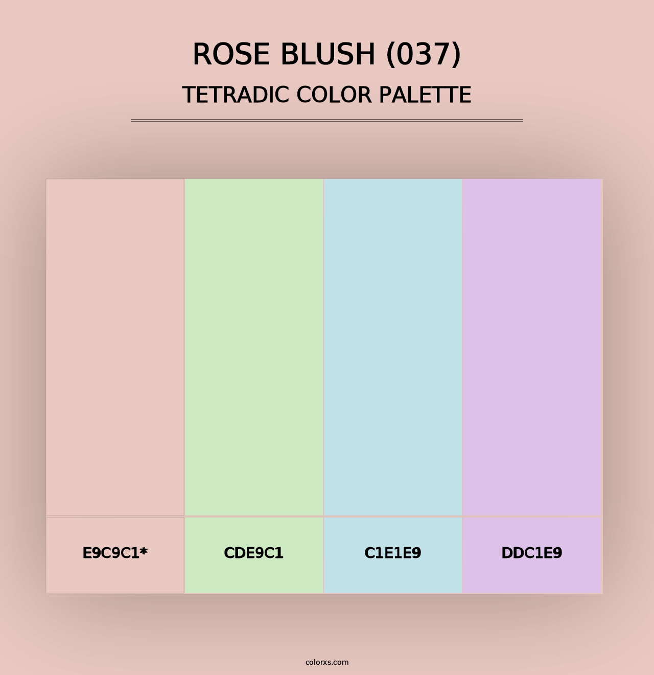 Rose Blush (037) - Tetradic Color Palette