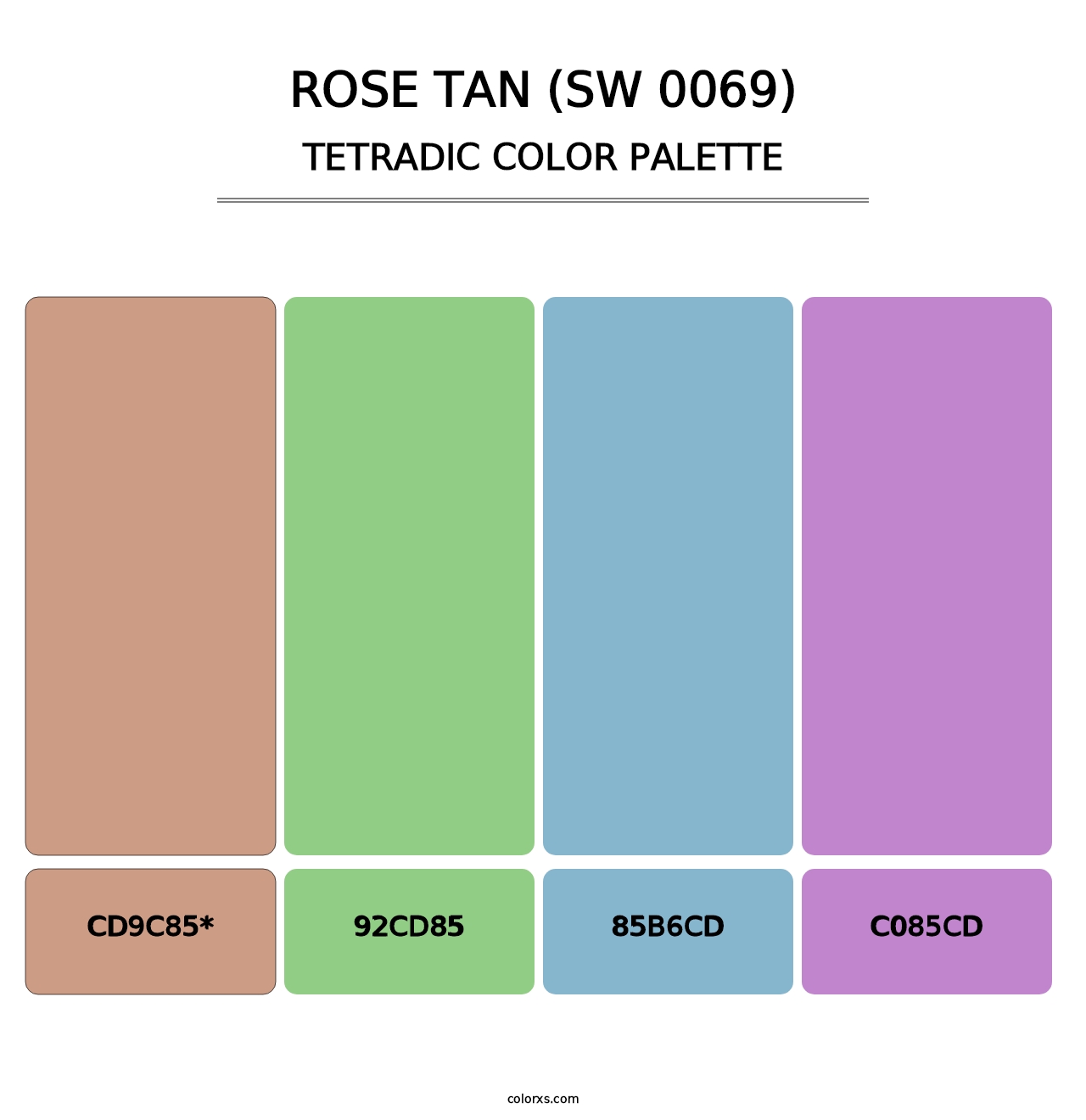 Rose Tan (SW 0069) - Tetradic Color Palette