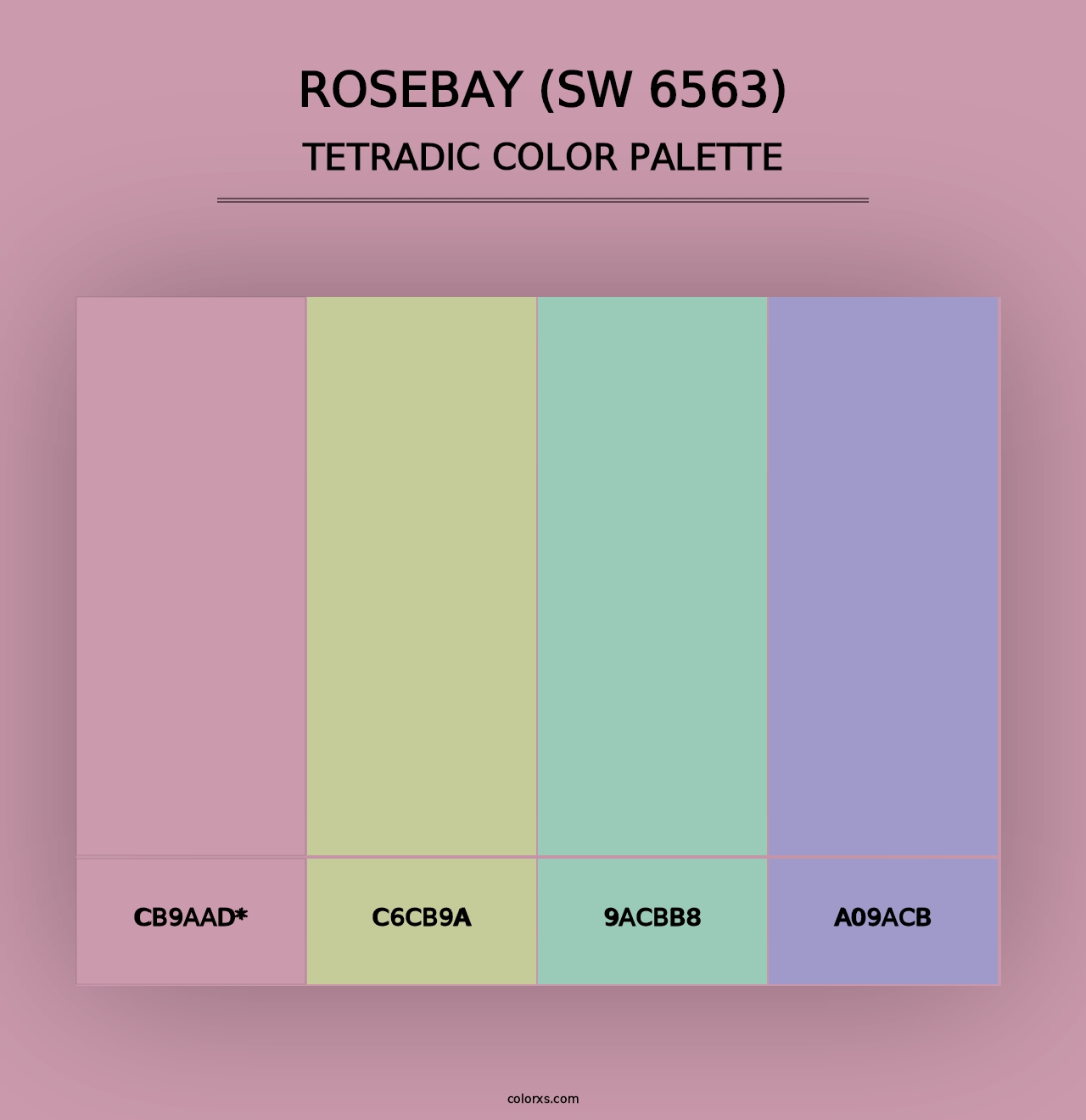 Rosebay (SW 6563) - Tetradic Color Palette