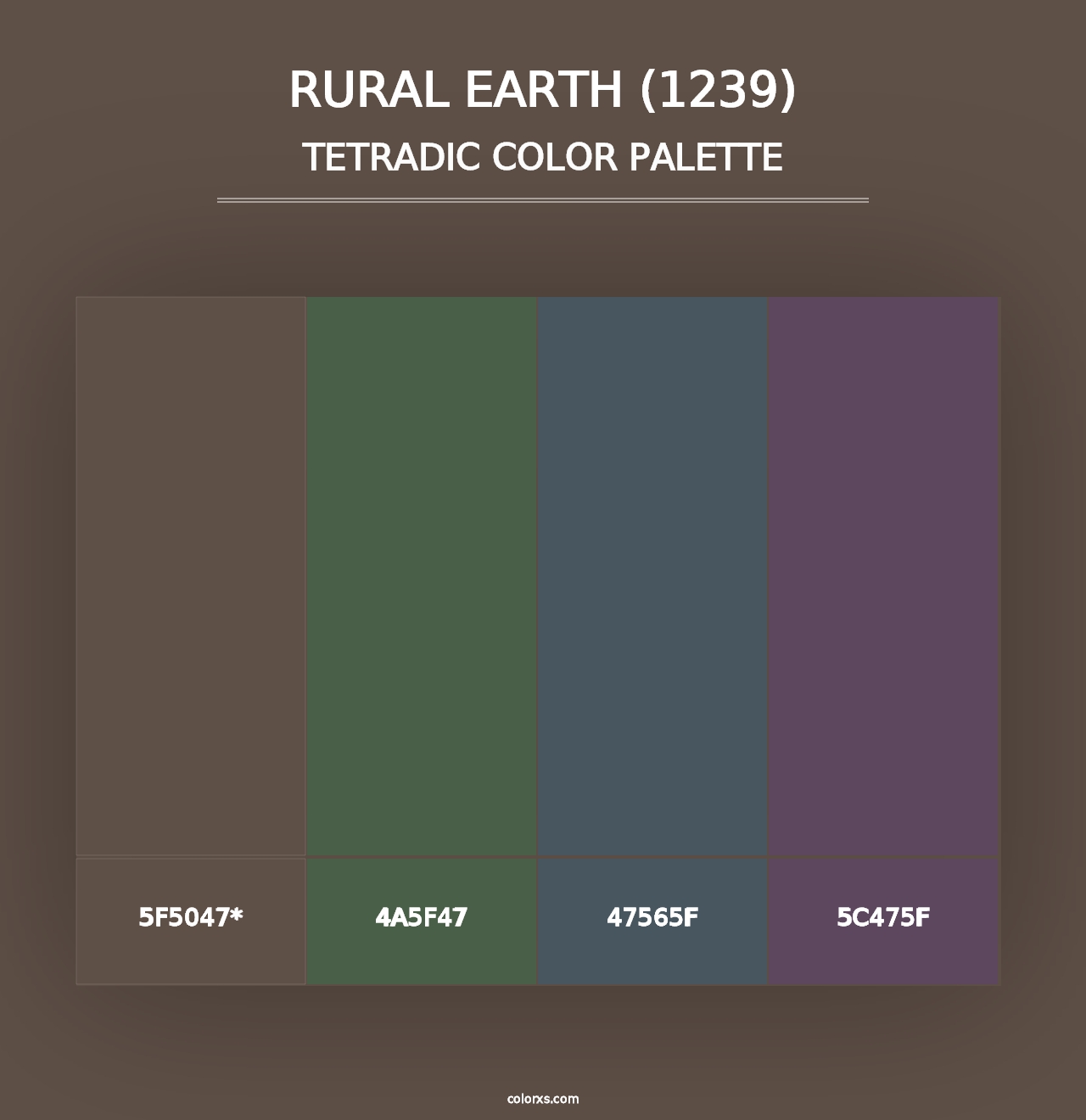 Rural Earth (1239) - Tetradic Color Palette