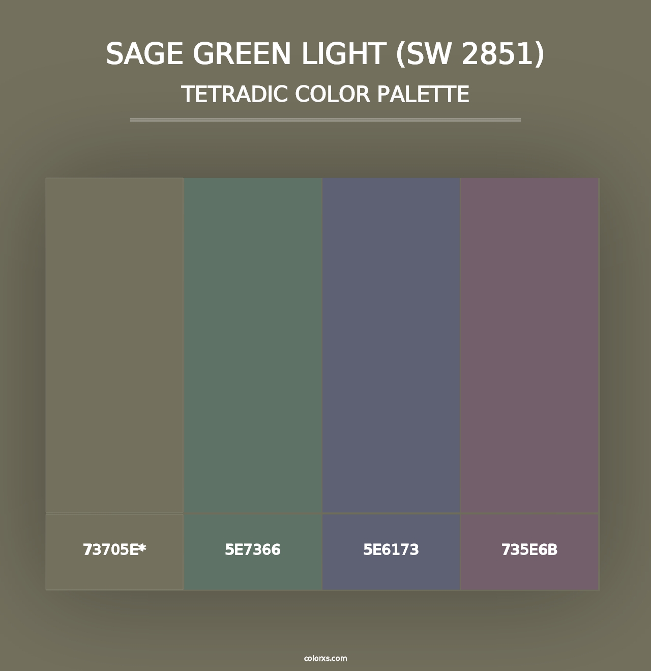 Sage Green Light (SW 2851) - Tetradic Color Palette