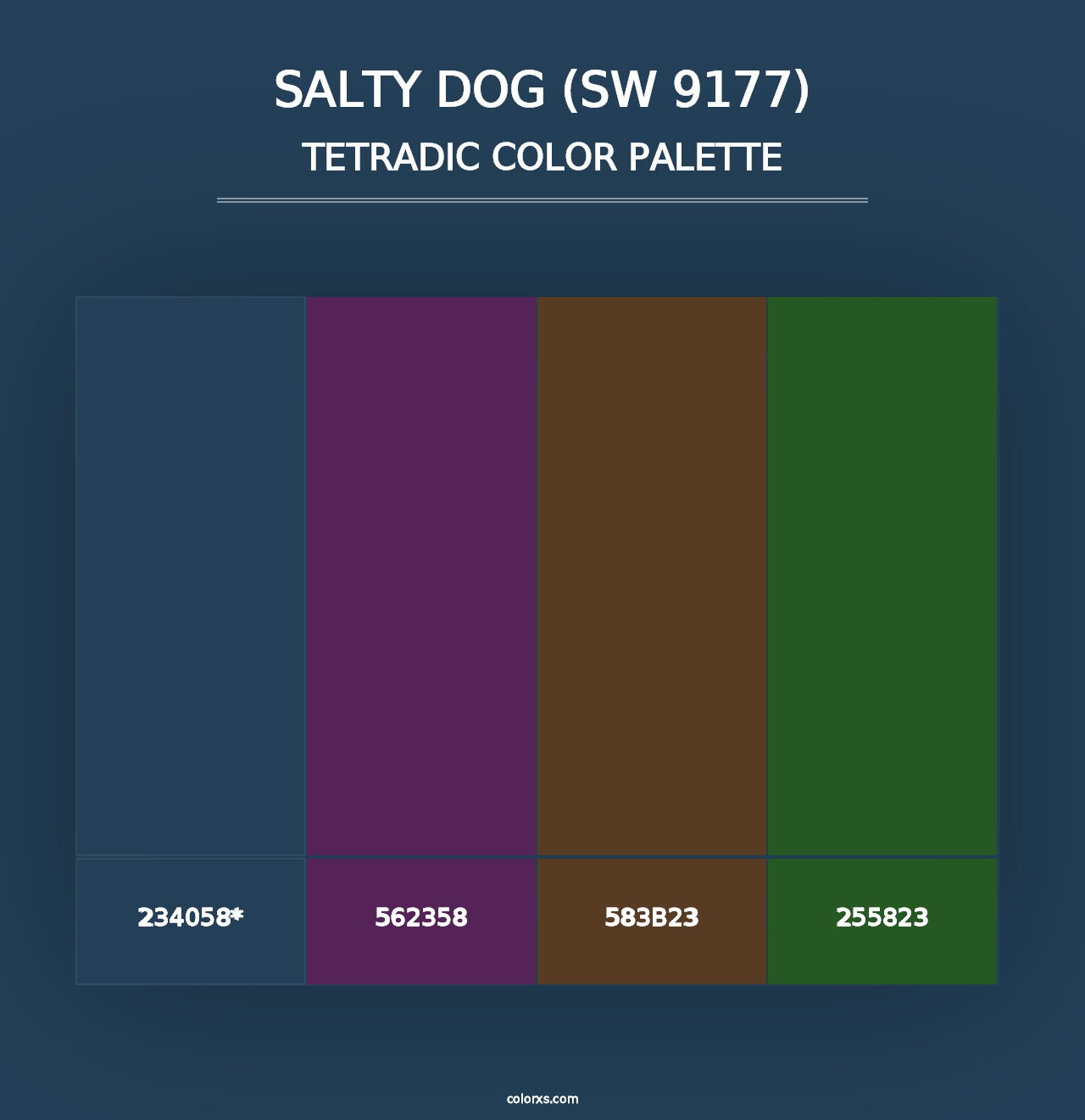 Salty Dog (SW 9177) - Tetradic Color Palette