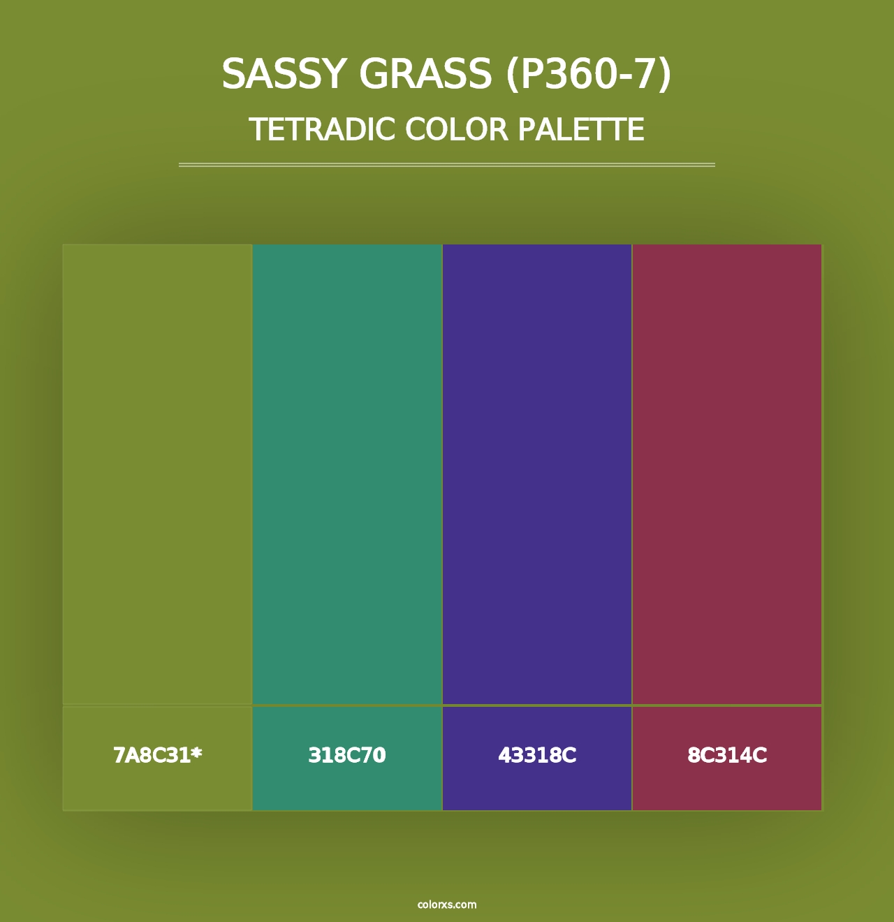 Sassy Grass (P360-7) - Tetradic Color Palette