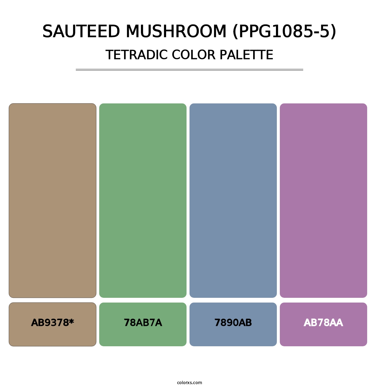 Sauteed Mushroom (PPG1085-5) - Tetradic Color Palette