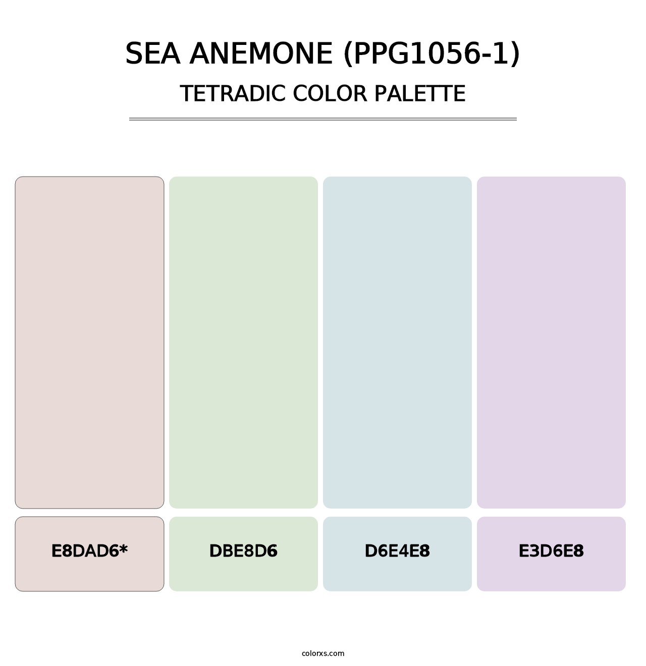 Sea Anemone (PPG1056-1) - Tetradic Color Palette