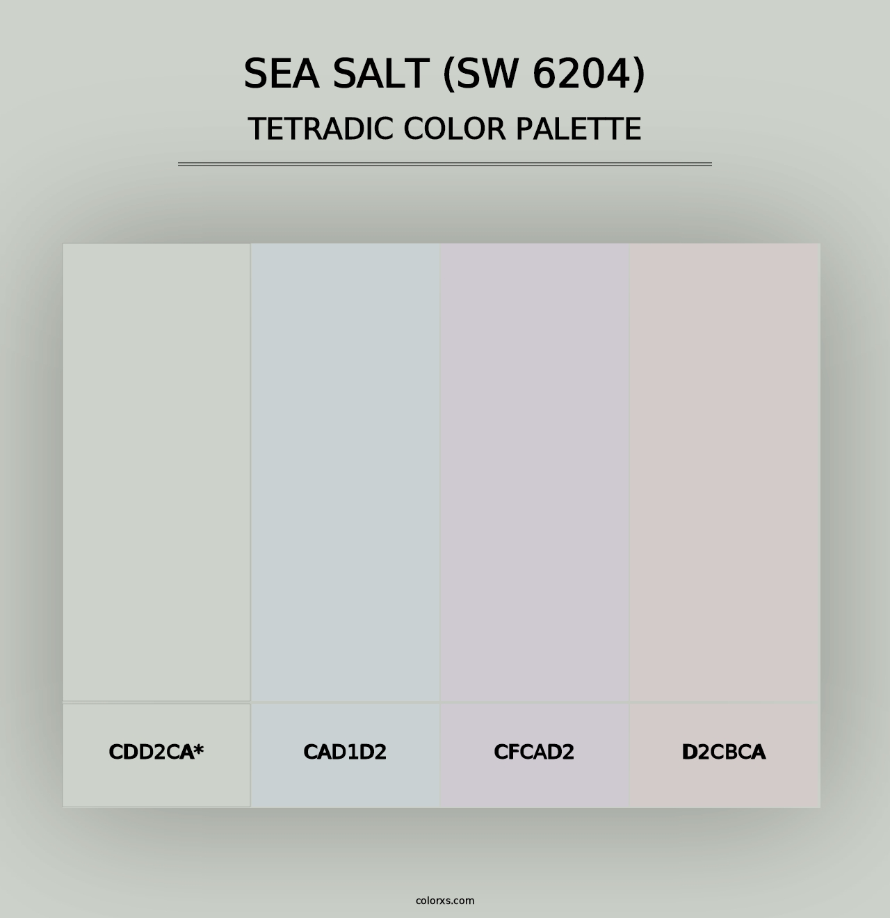 Sea Salt (SW 6204) - Tetradic Color Palette