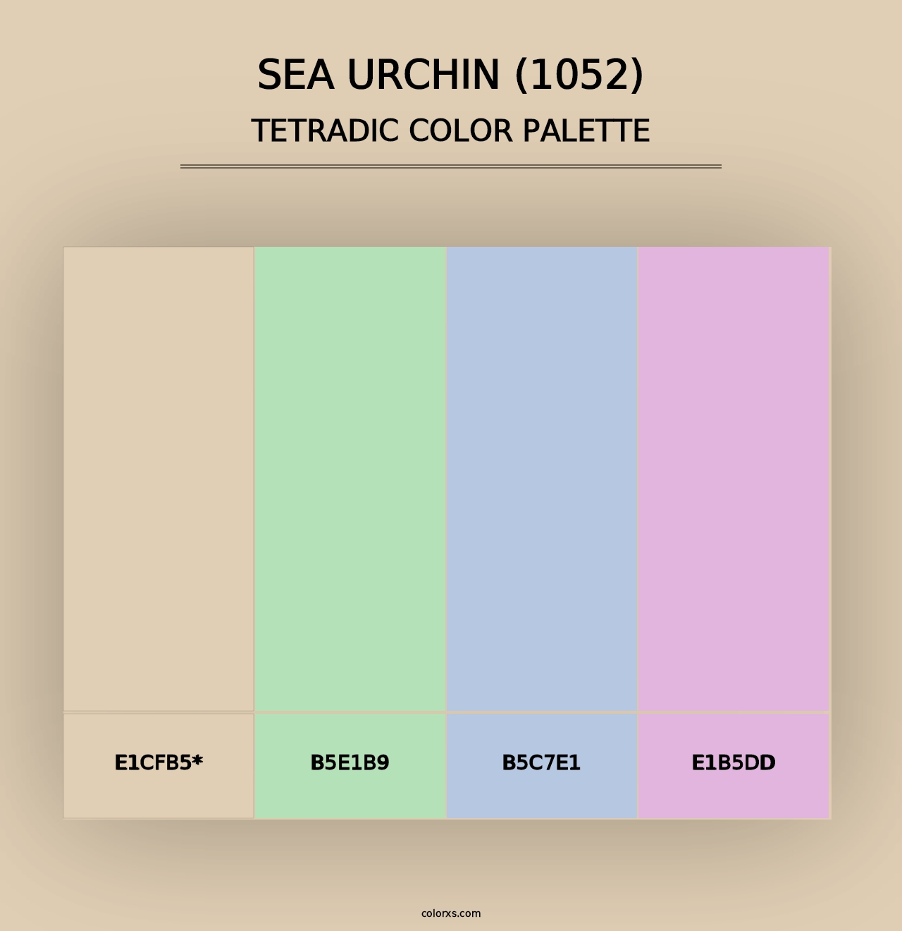 Sea Urchin (1052) - Tetradic Color Palette