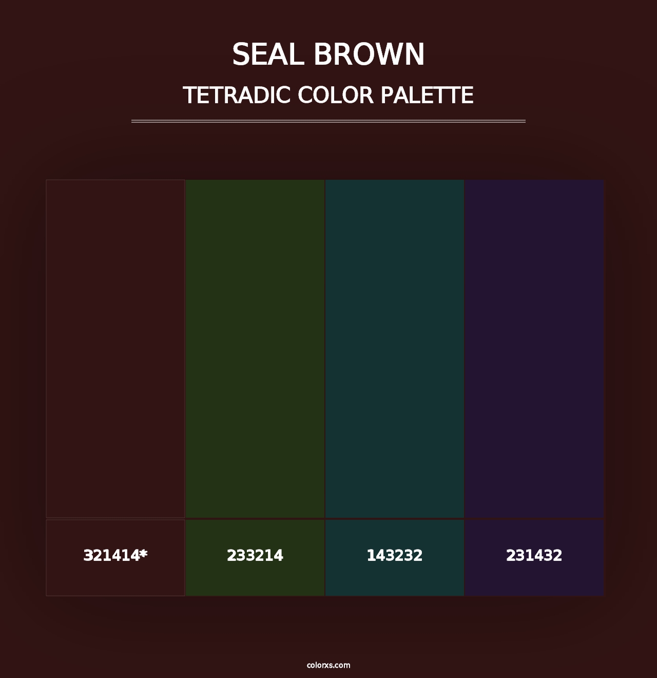 Seal brown - Tetradic Color Palette